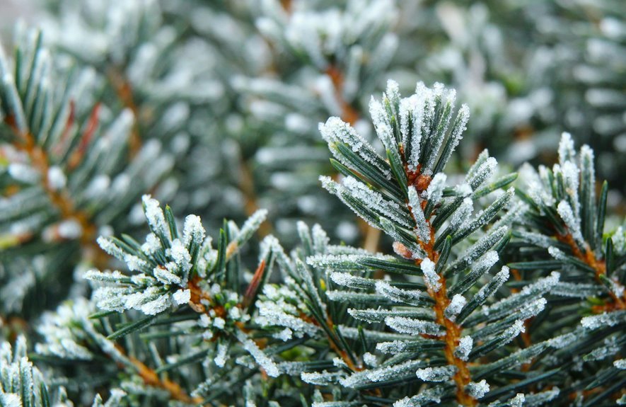 endless orbits archive catalog