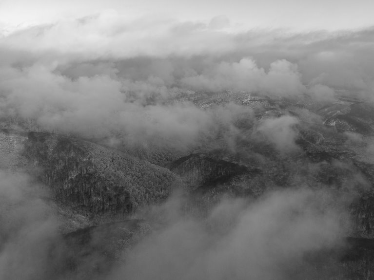 intas ffr product details