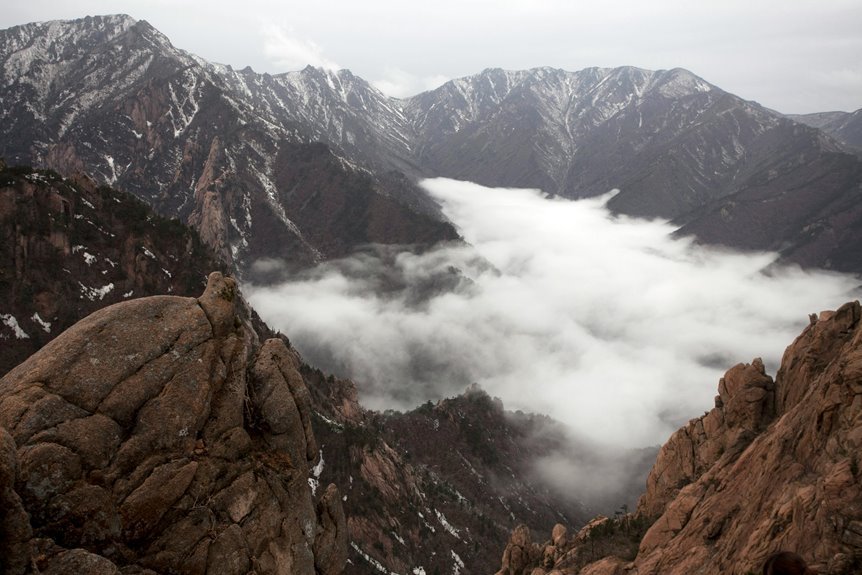 xendit contributions at summit